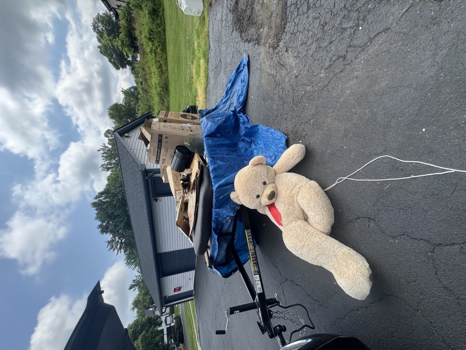 Basement cleanout and clutter removal in the Triad NC