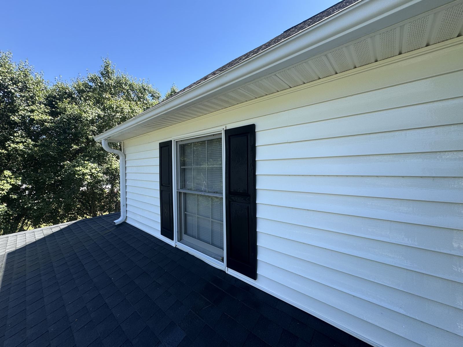 Close-up of clean siding and shutter after soft washing